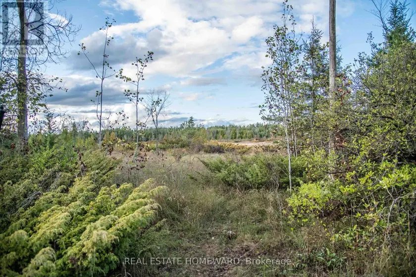 Vacant Land at LOT 256 MCGUIRE BEACH ROAD, Kawartha Lakes