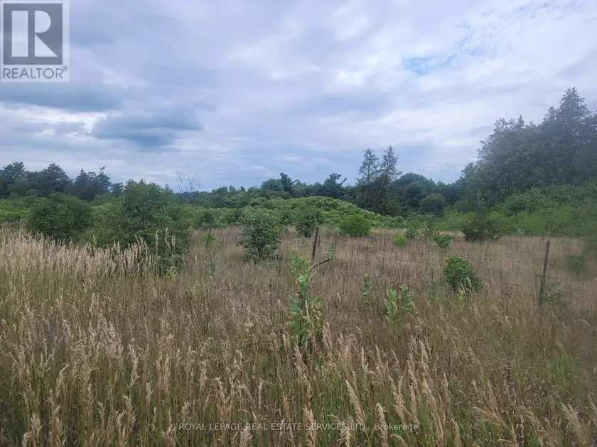 Vacant Land at LT 27 PT 2 COUNTY RD 10, Prince Edward County (South Marysburg Ward)