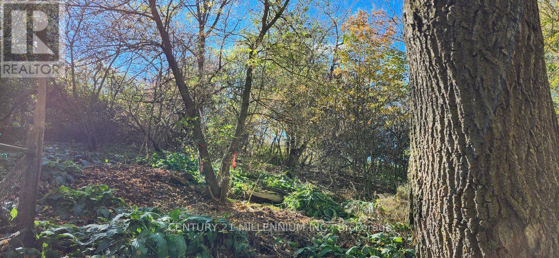 Vacant Land at PLAN 4A BLK 3 LOT 10 MILL STREET, Amaranth