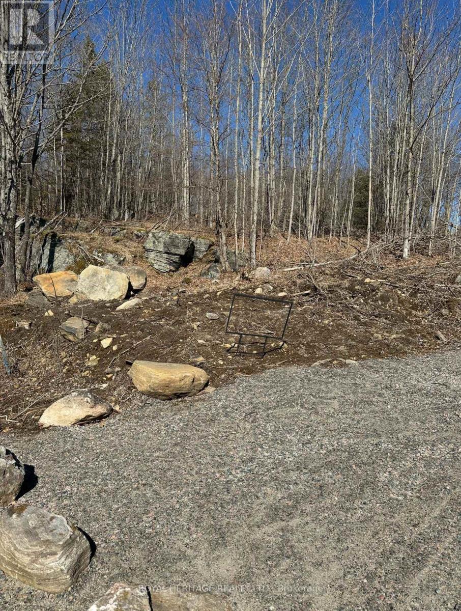 Vacant Land at 61 MARLUC AVENUE, Minden Hills