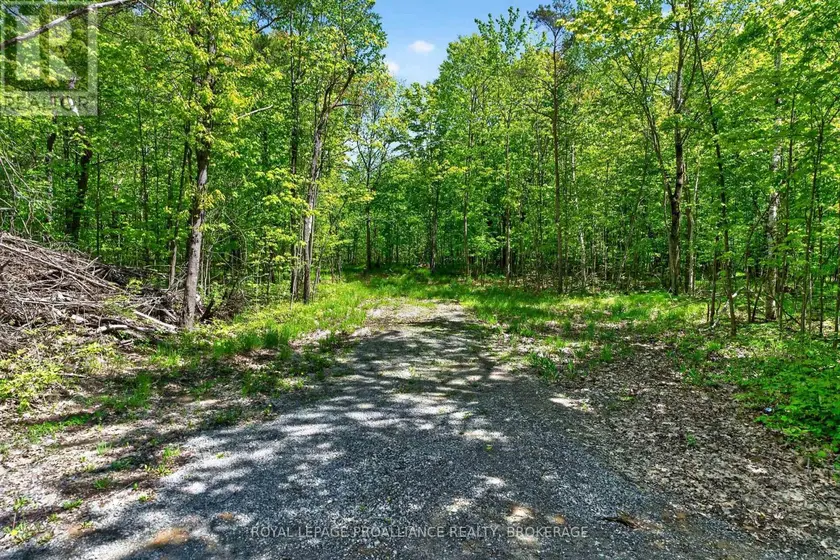 Vacant Land at PT LTS 12 & 13 DEVIL LAKE ROAD, South Frontenac
