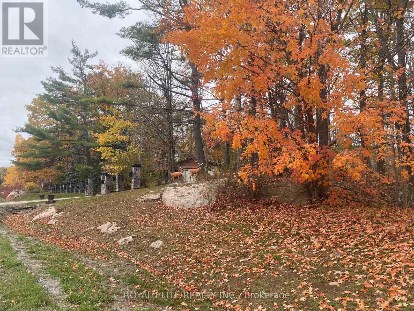 Detached at 2943 COUNTY RD 36, Trent Lakes