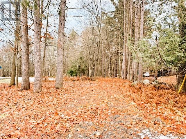 Vacant Land at 93 TOWN LINE ROAD W, Huntsville (Brunel)