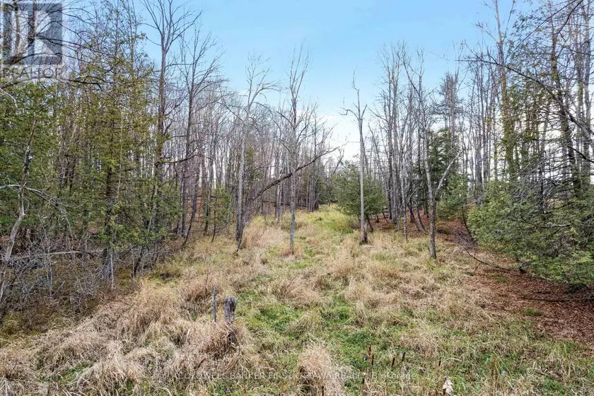 Vacant Land at PT 1-00 HERRON MILLS ROAD, Lanark Highlands