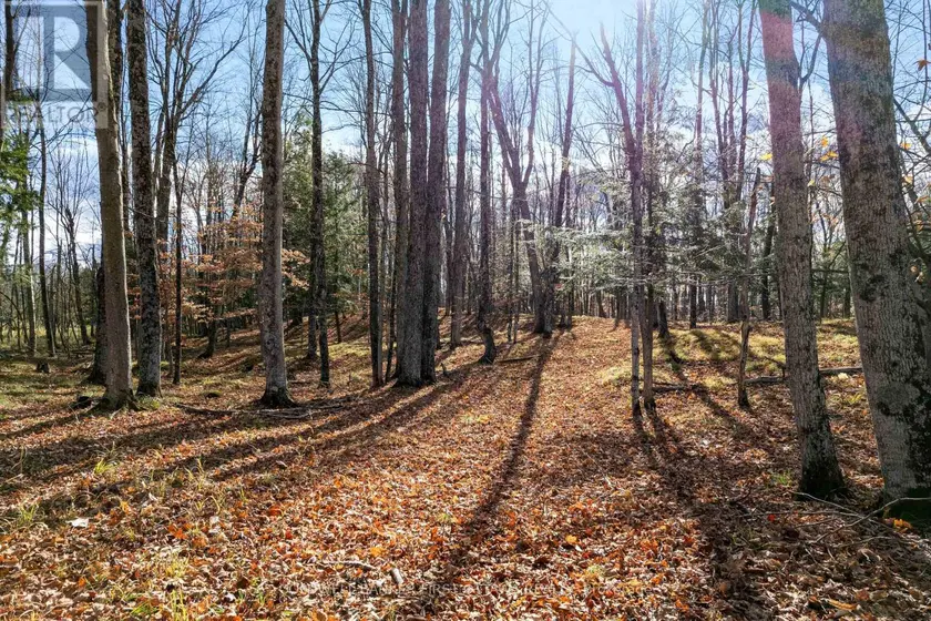 Vacant Land at PT 2-00 HERRON MILLS ROAD, Lanark Highlands
