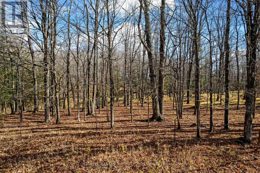 Vacant Land at PT 3-00 HERRON MILLS ROAD, Lanark Highlands