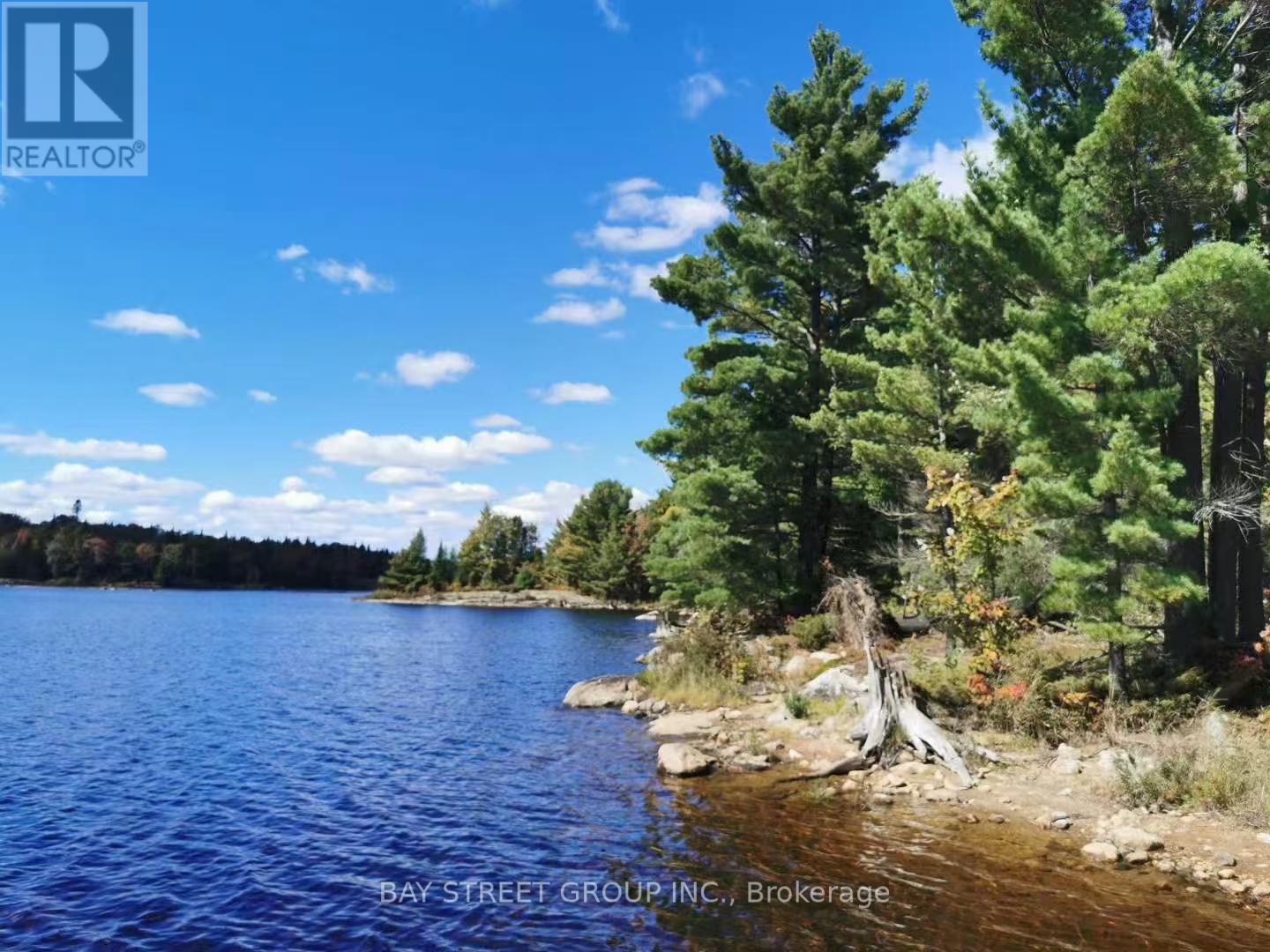 Vacant Land at 157 LAKE VISION ROAD, McMurrich/Monteith (Monteith)