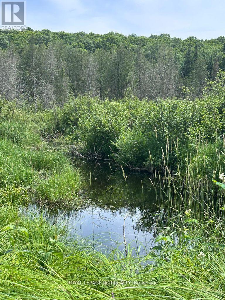Vacant Land at 0 PT LT 6 CON 9, Highlands East