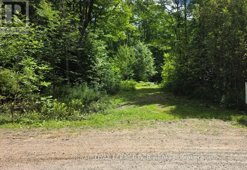 Vacant Land at PT LOT 6 CON 10 MONMOUTH MADILL ROAD, Highlands East