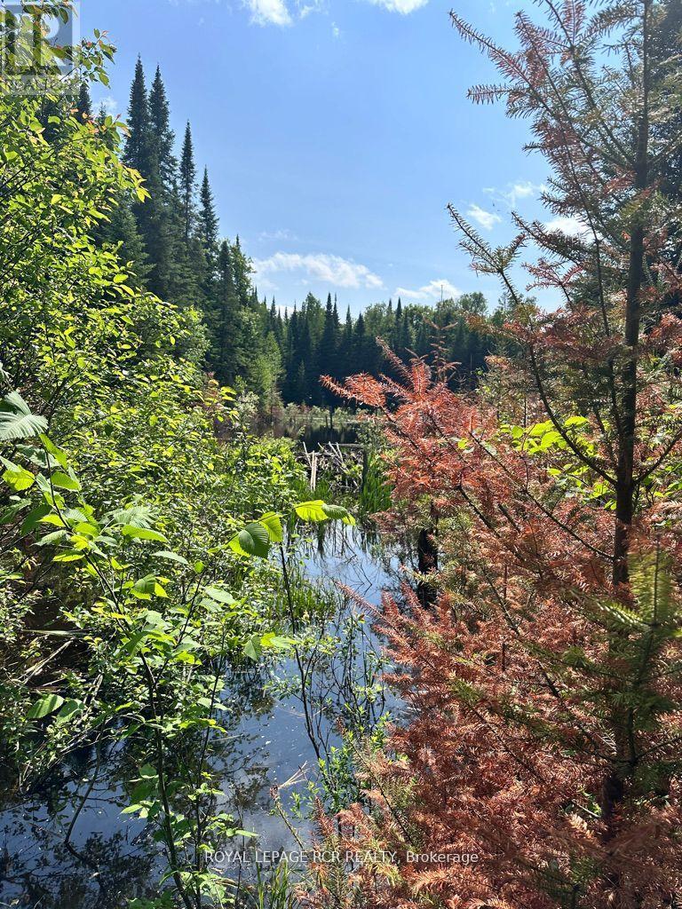 Vacant Land at PT LOT 6 CON 10 MONMOUTH MADILL ROAD, Highlands East