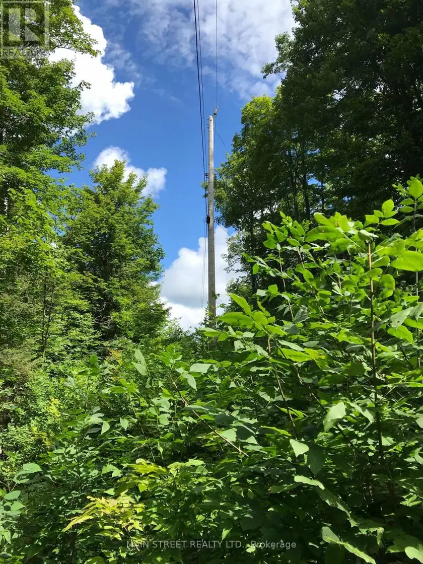 Vacant Land at 000 BLANCHARDS ROAD, Kawartha Lakes (Bexley)