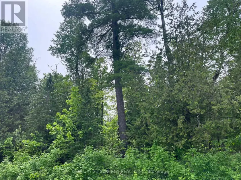 Vacant Land at 00 BELLAMY ROAD, McNab/Braeside