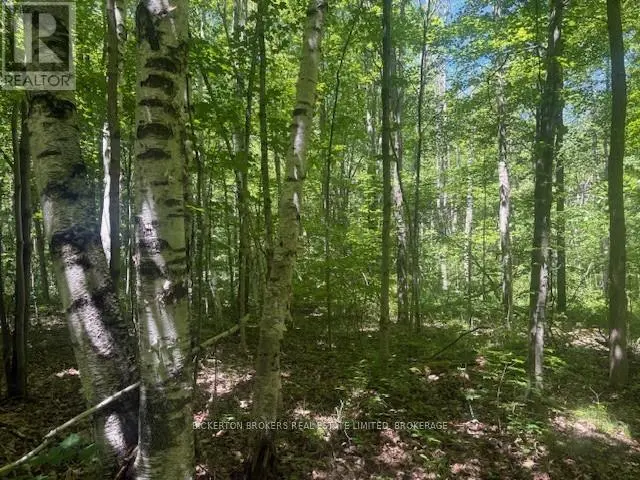 Vacant Land at 49 CEDAR SANDS ROAD, Rideau Lakes