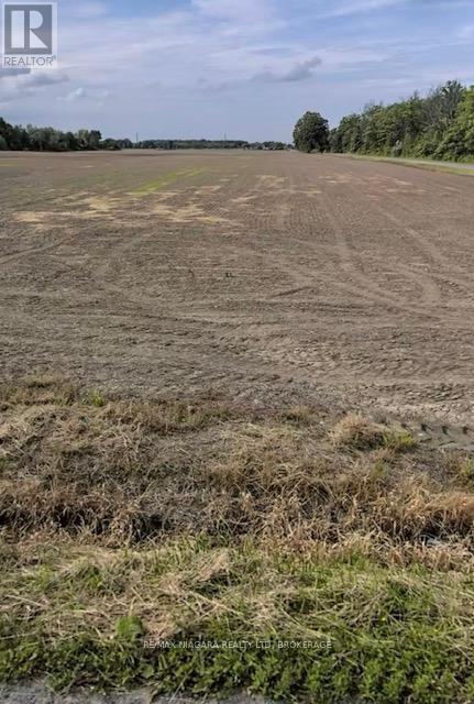 Vacant Land at PT 12 CROWN ROAD, West Lincoln (Bismark/Wellandport)