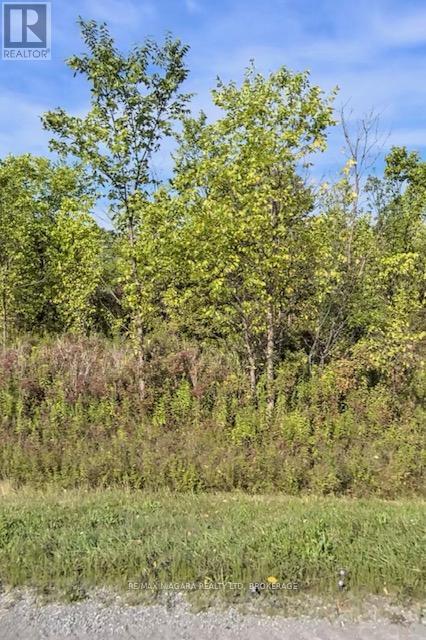 Vacant Land at LOT 4 MONTROSE ROAD, Niagara Falls (Lyons Creek)