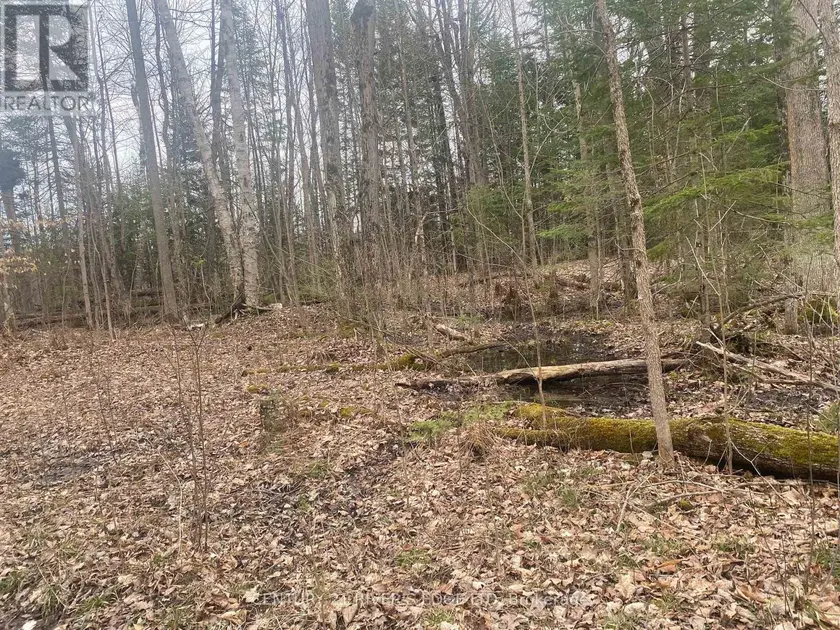 Vacant Land at 00 COUNTY RD 44 ROAD, Edwardsburgh/Cardinal