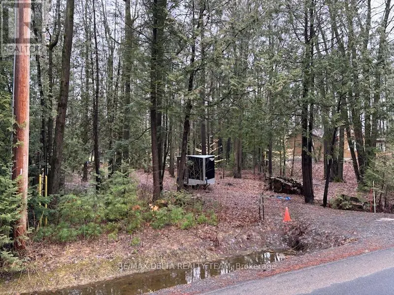 Vacant Land at LOT 2 CONCESSION 5 ROAD, Alfred and Plantagenet