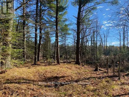 Vacant Land at 17556 HIGHWAY 62, Madoc