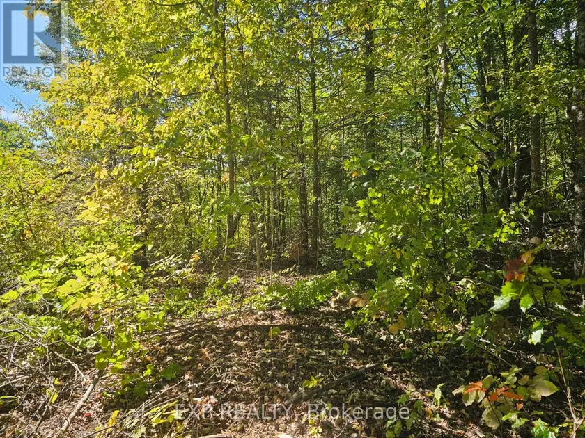 Vacant Land at PART LOT 32 AND 33 PART 2 CONC 1 CONCESSION, Minden Hills