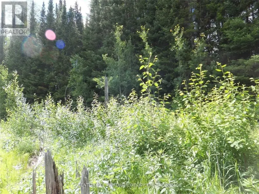 Vacant Land at 2080 GLAMOR LAKE ROAD, Highlands East