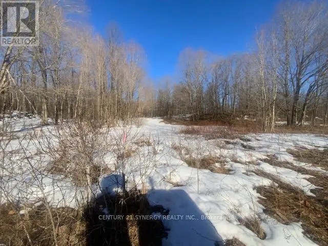 Vacant Land at 00 LOT 1 COUNTY  RD 10 ROAD, Rideau Lakes