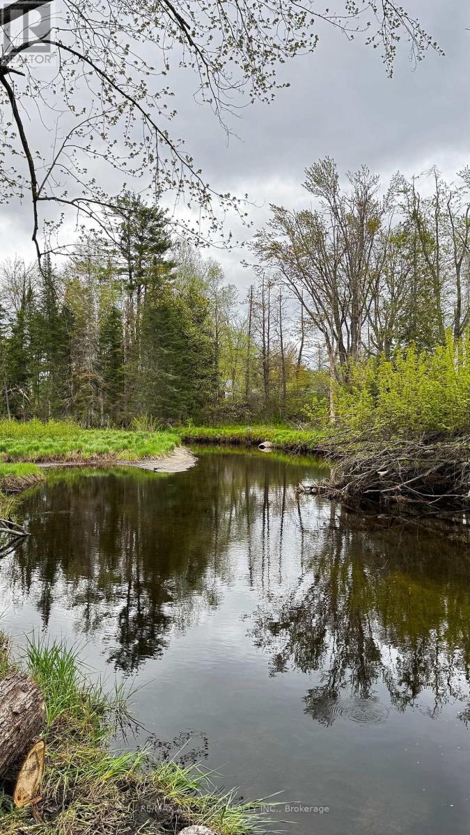 Vacant Land at 2348 NORTHEY'S BAY ROAD, North Kawartha