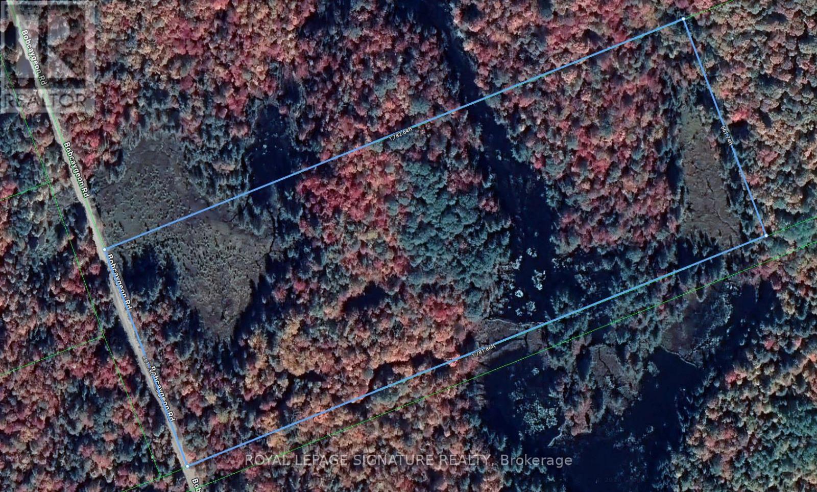 Vacant Land at 0 BOBCAYGEON ROAD, Minden Hills (Lutterworth)