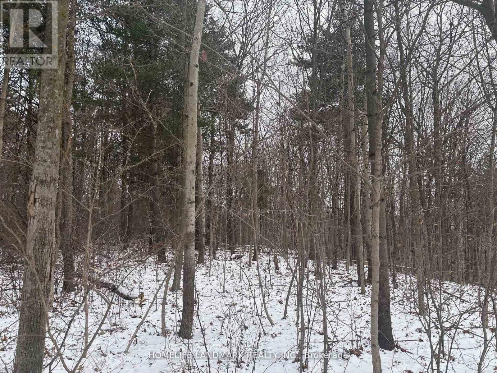 Vacant Land at LT 45 CON 7 EBR LINDSAY, Northern Bruce Peninsula