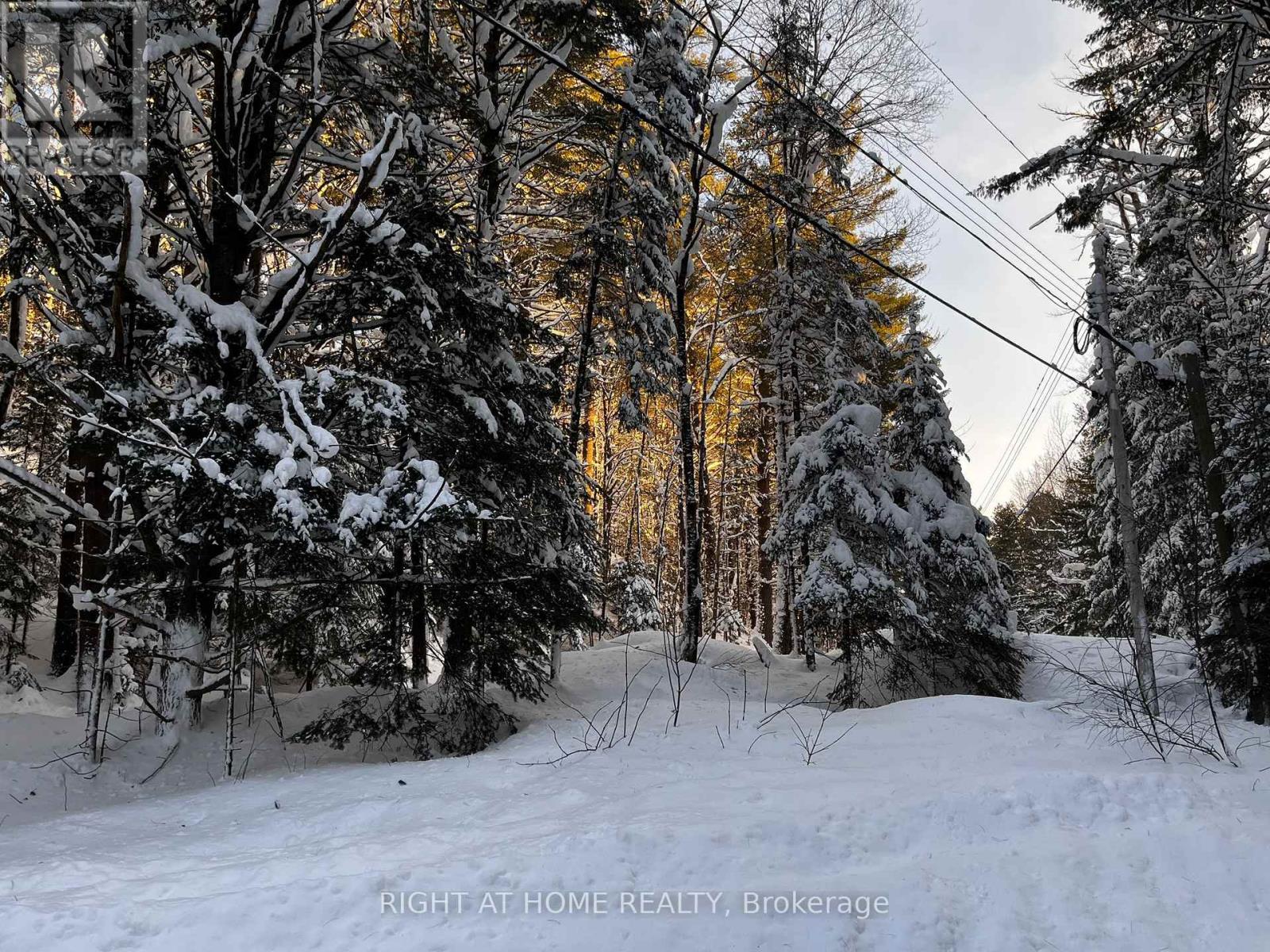 Vacant Land at 1019 FORRESTER TRAIL, Bracebridge