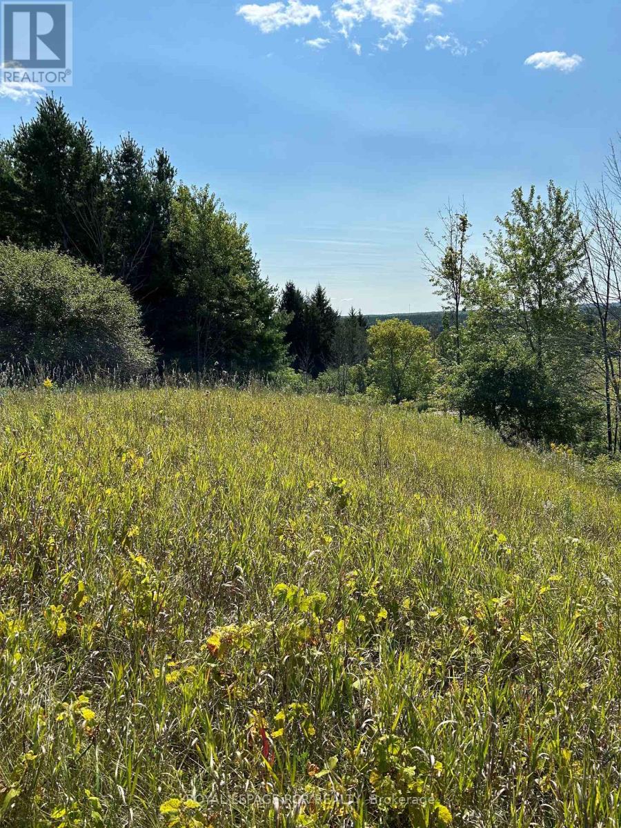 Vacant Land at LOT 29 5TH LINE E, Mulmur