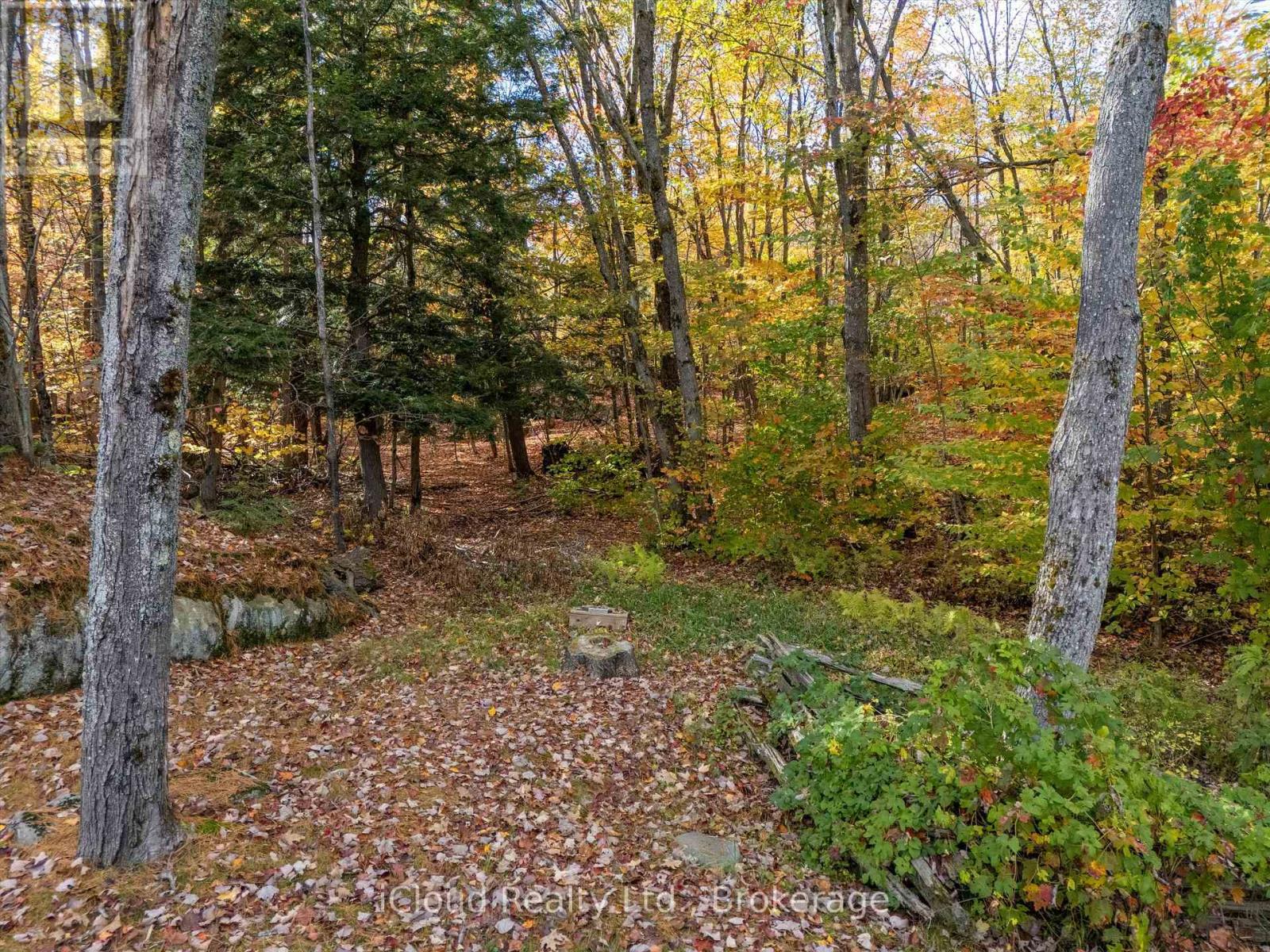 Detached at 6 SPRINGHILL ROAD, McKellar