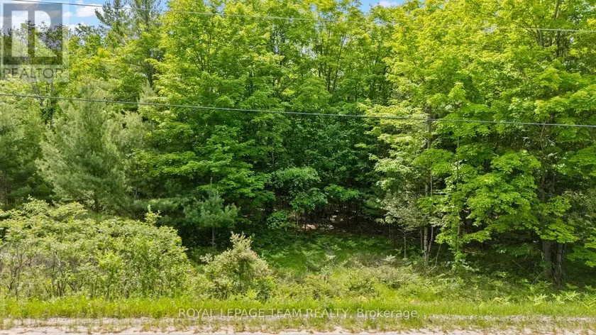 Vacant Land at 00 MAPLE STREET, Lanark Highlands