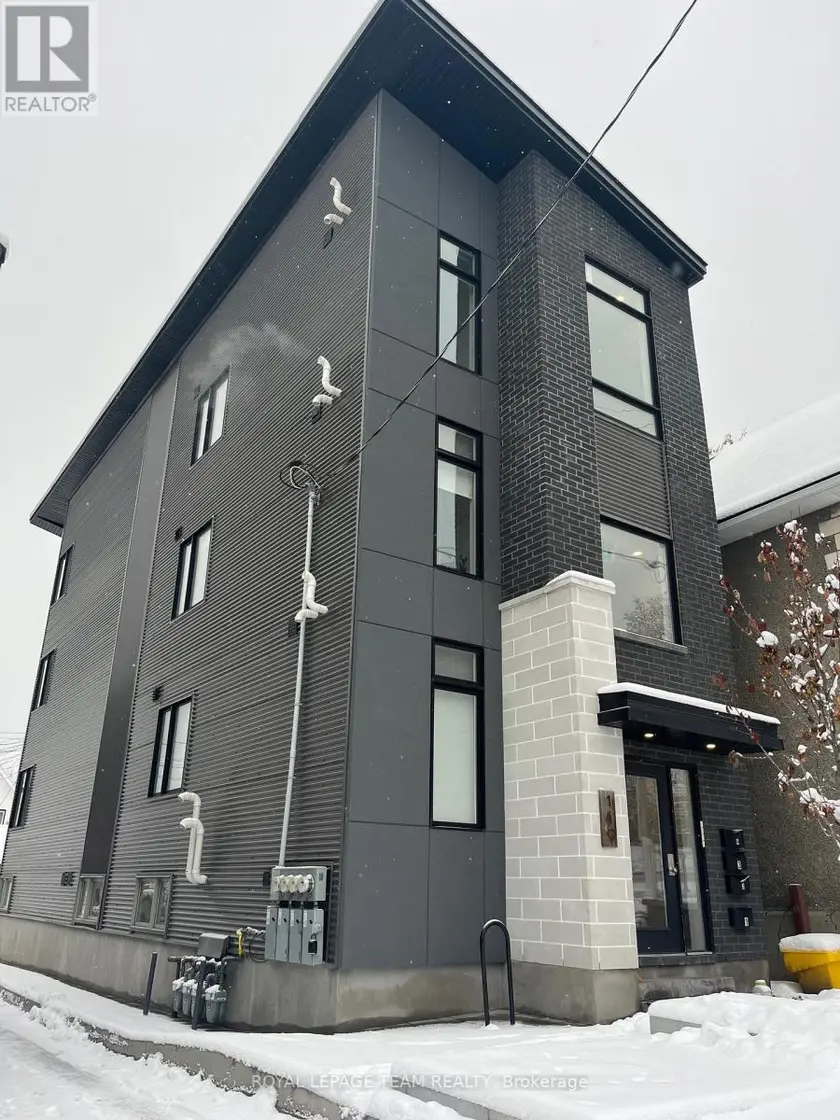 Multiplex at 149 WILLOW STREET, Ottawa