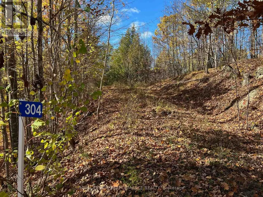 Vacant Land at 304 LACOURSE LANE, Lanark Highlands