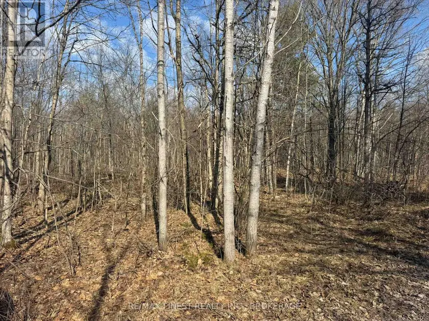 Vacant Land at 0 CALIFORNIA ROAD, Stone Mills