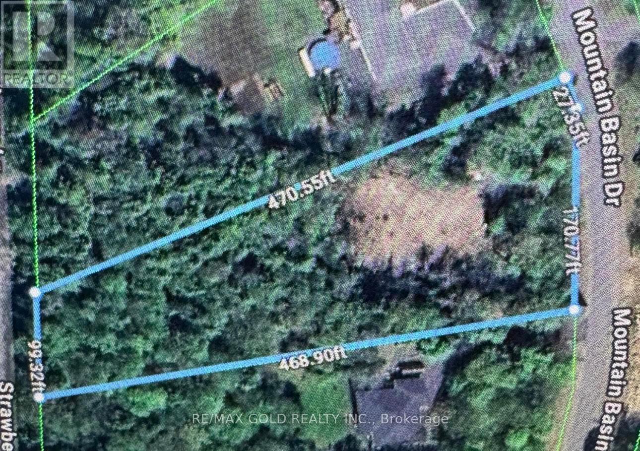 Vacant Land at 5 MOUNTAIN BASIN DRIVE, McDougall
