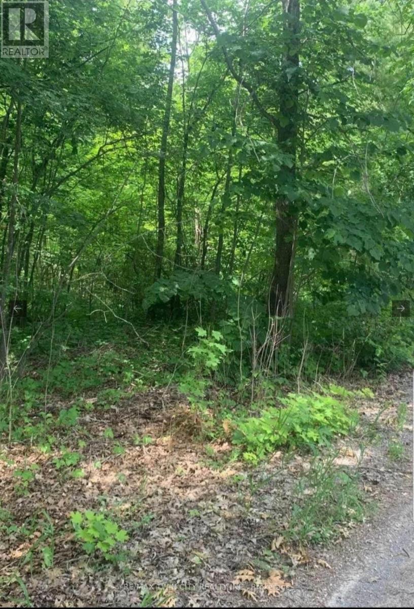 Vacant Land at LOT 12 SUTER DRIVE, Kawartha Lakes (Laxton/Digby/Longford)