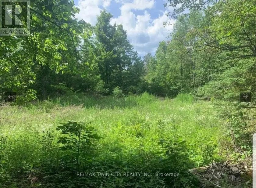 Vacant Land at LOT 12 SUTER DRIVE, Kawartha Lakes