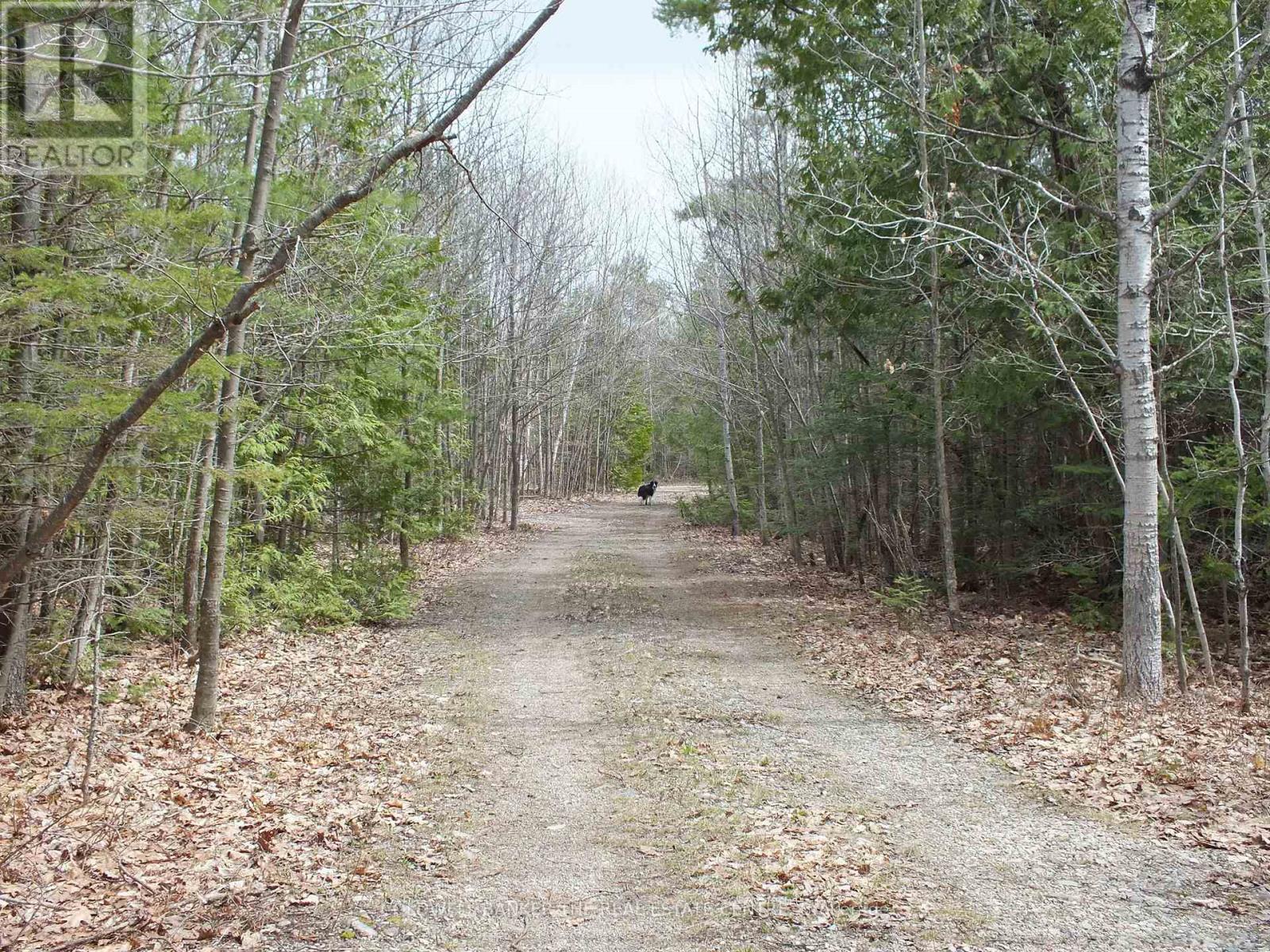 Vacant Land at N/A DIAL ROAD N, Central Manitoulin