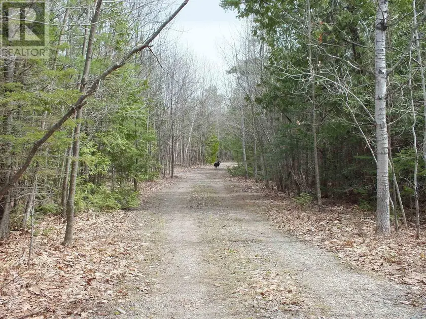 Vacant Land at N/A DIAL ROAD N, Central Manitoulin