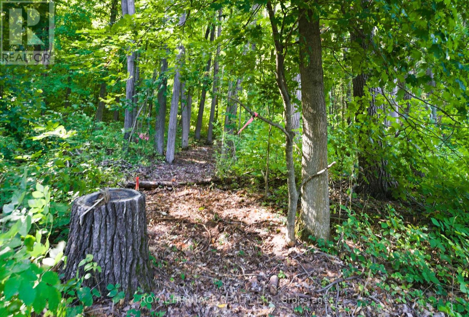 Vacant Land at 0 PINEWOOD SCHOOL ROAD, Cramahe