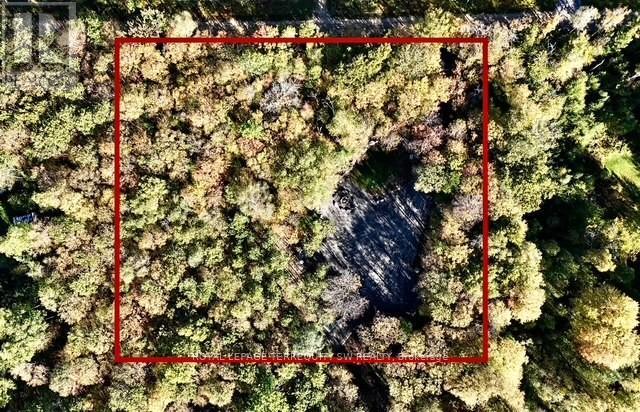 Vacant Land at 1394 BARTLETT LAKE ROAD, Ryerson