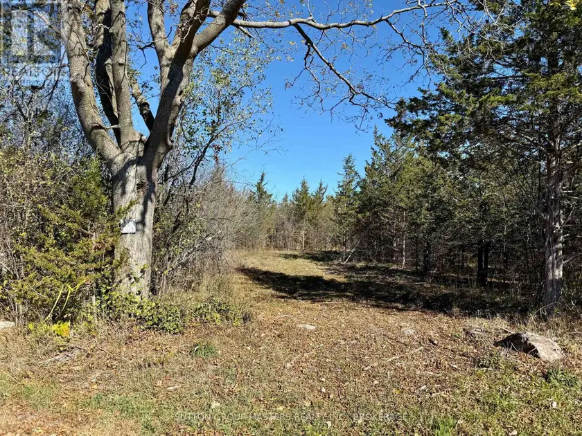 Vacant Land at LOT 3 GALBRAITH GROVE ROAD, Stone Mills