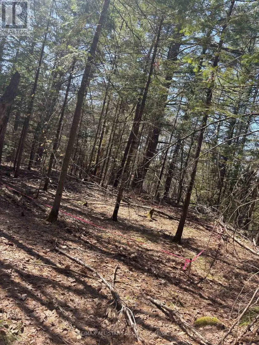 Vacant Land at 0 KIRKPATRICK LANE, Bracebridge
