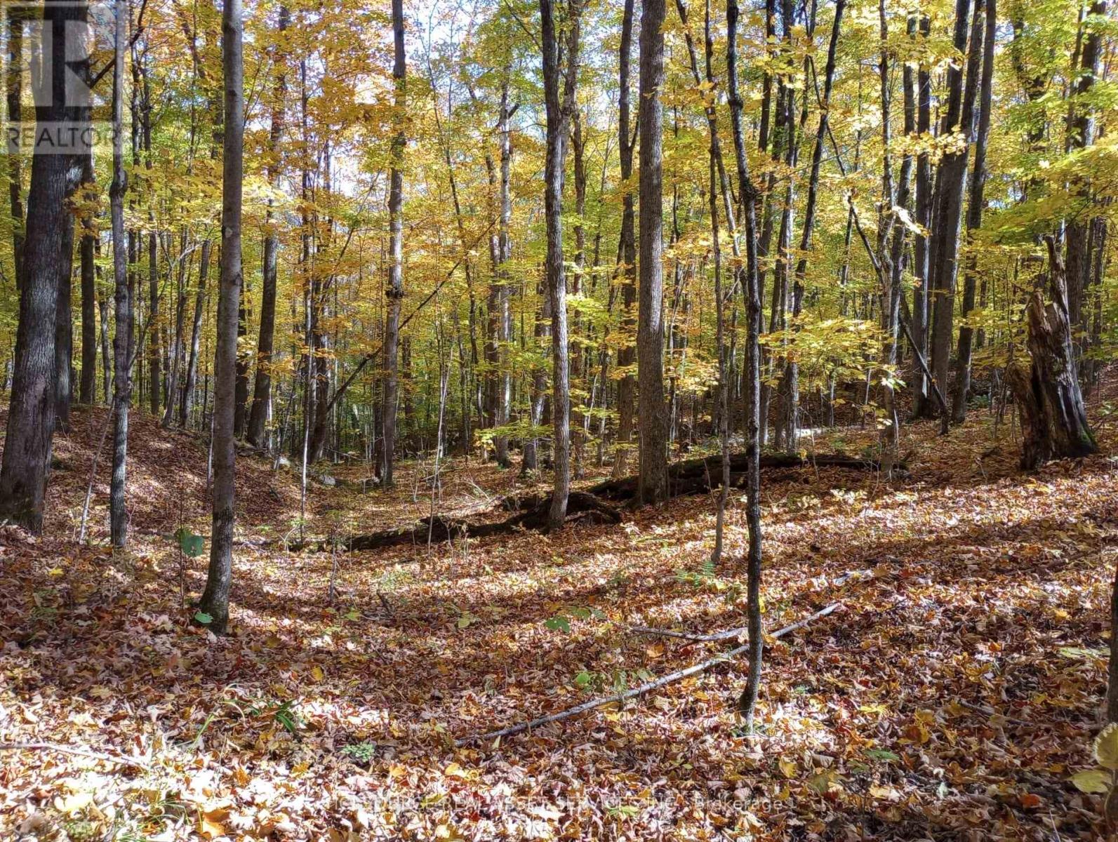 Vacant Land at 326 SOUTH RIVER ROAD, Nipissing