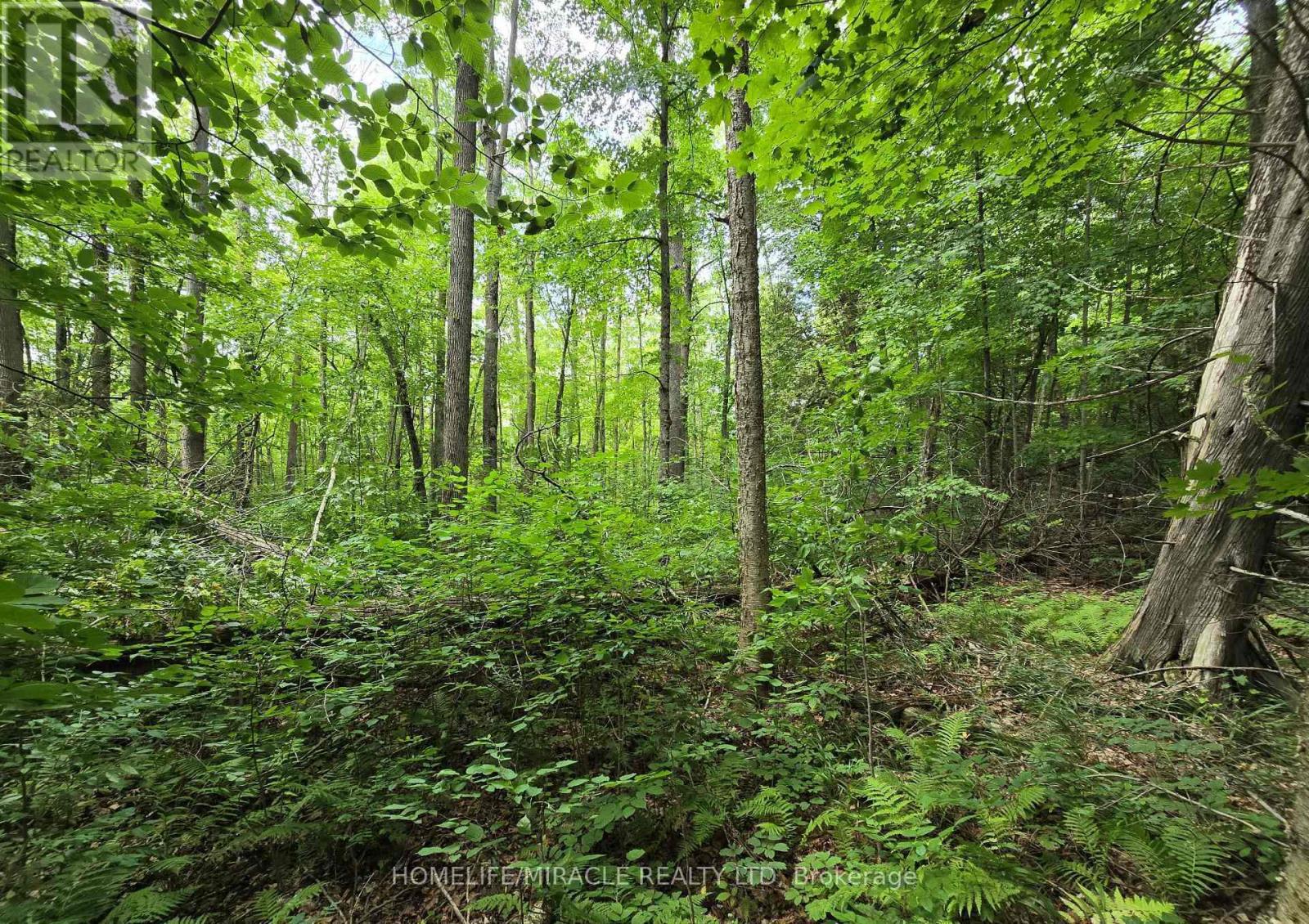 Vacant Land at 000 CEDAR SANDS ROAD, Rideau Lakes