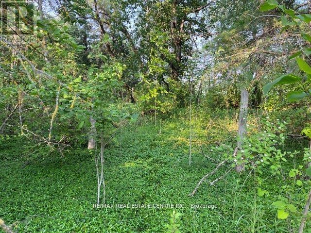 Vacant Land at 034541 SIDEROAD 21-22, East Luther Grand Valley