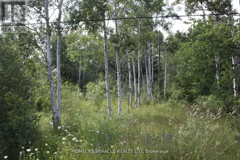 Vacant Land at 380 HIGHWAY 15 HIGHWAY, Rideau Lakes