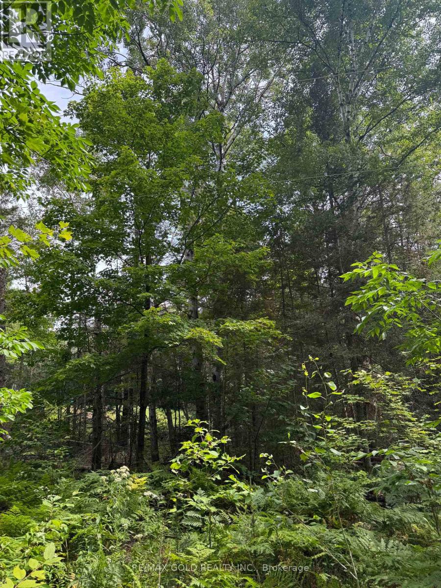 Vacant Land at 1791 ALSACE ROAD, Nipissing