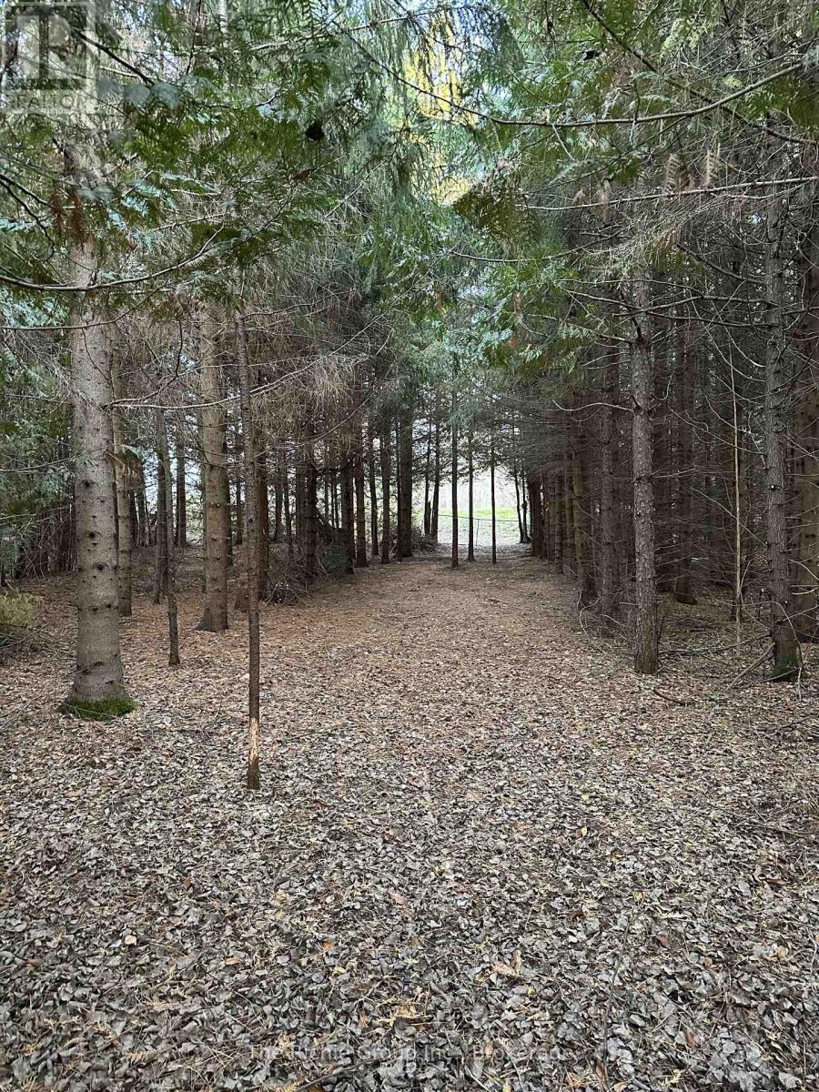 Vacant Land at PT LT 3 CON 7, Amaranth